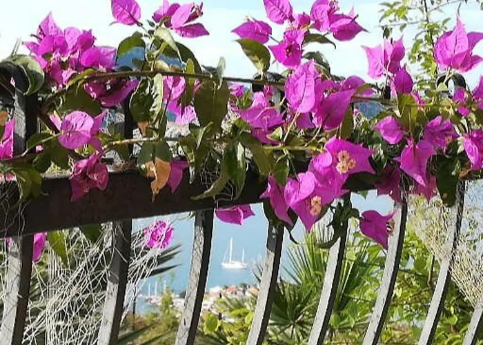 Windyhill Selimiye Filizin Konagi Hotel