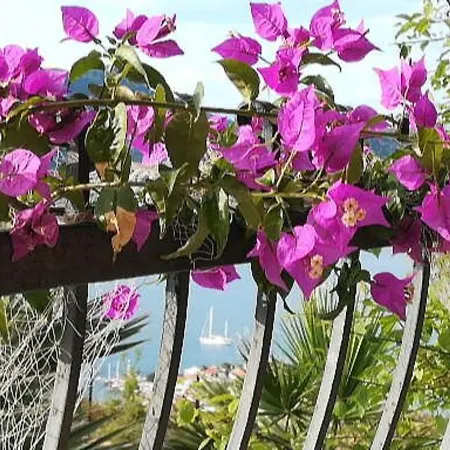 Windyhill Selimiye Filizin Konagi Hotel